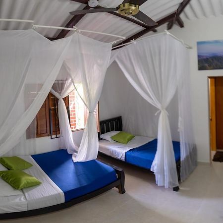 Hostal Coco Bomgo Minca Exteriér fotografie